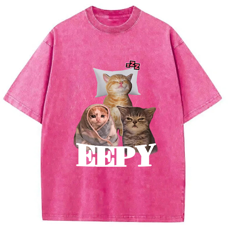 Tokyocanvas Eepy Cat Meme Washed T-Shirt