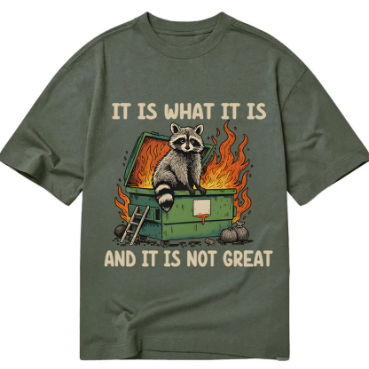 Tokyocanvas It Is What It Is Dumpster Fire Funny Raccoon Meme Classic T-Shirt