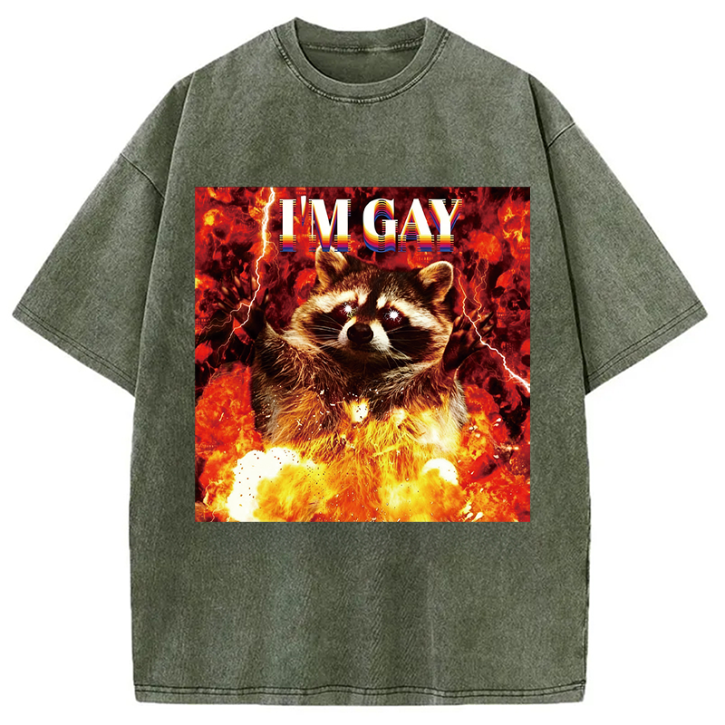 Tokyocanvas I'm Gay Washed T-Shirt