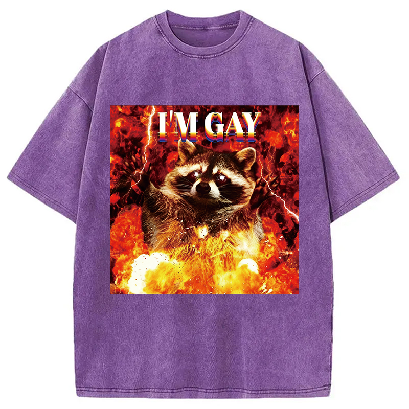 Tokyocanvas I'm Gay Washed T-Shirt