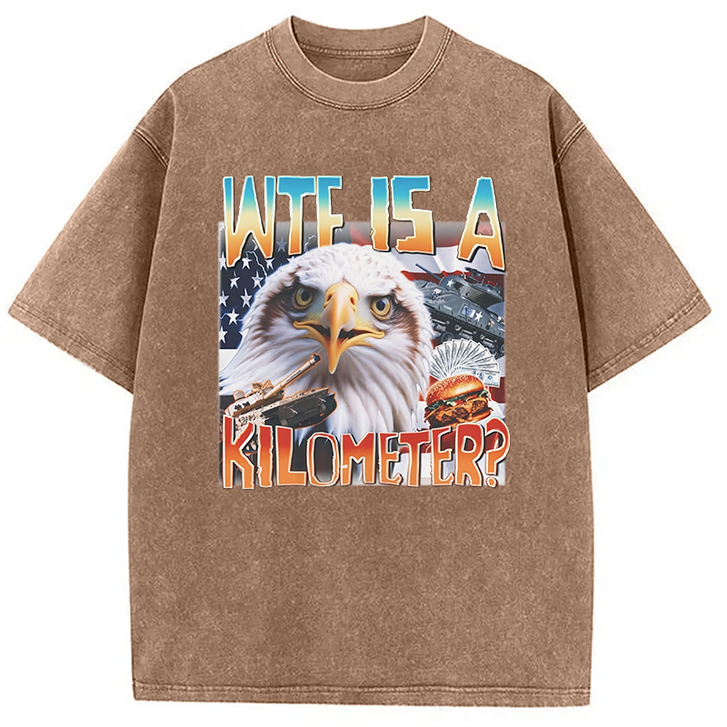 Tokyocanvas Funny America Freedom Eagle Meme Washed T-Shirt