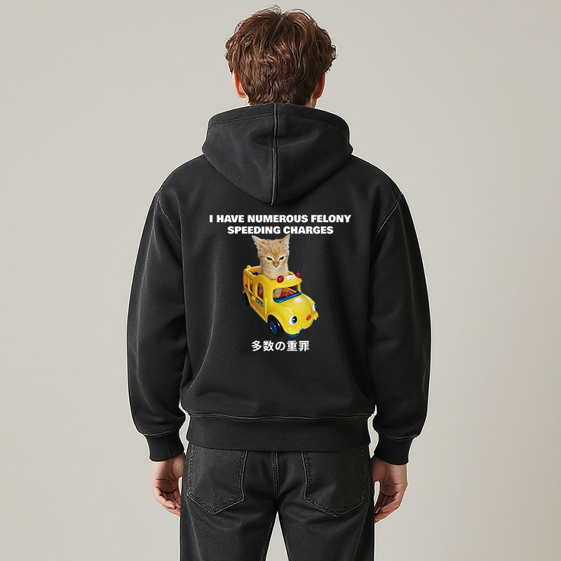 Tokyocanvas I Have Numerous Felonies For Speeding Washed Zip Hoodie