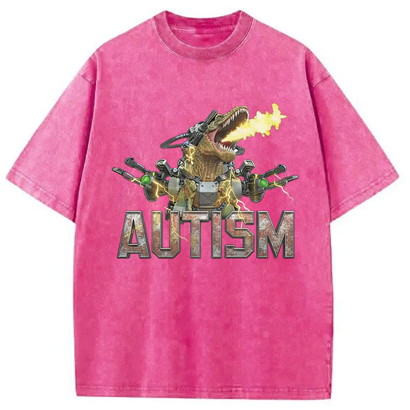 Tokyocanvas Autism Dinosaur Washed T-Shirt