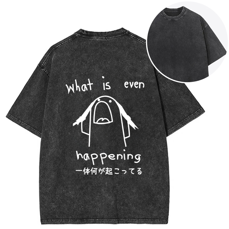 Tokyocanvas What Is Even Happening Back Washed T-Shirt