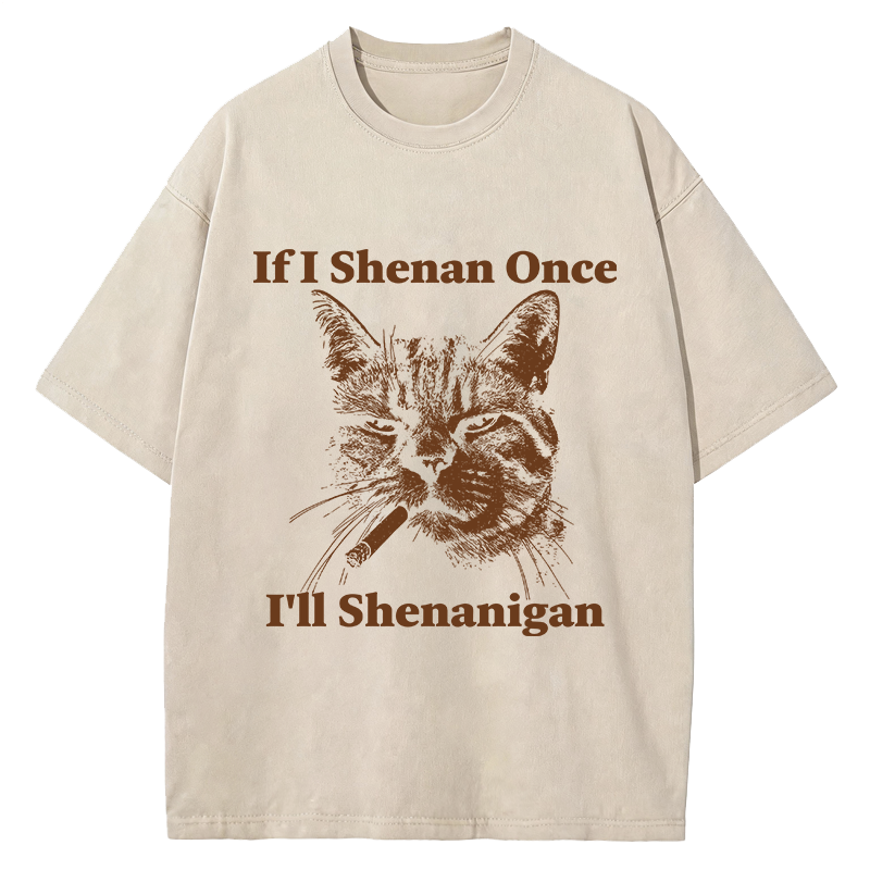 Tokyocanvas If I Shenan Once I'll Shenanigan Cat Washed T-Shirt