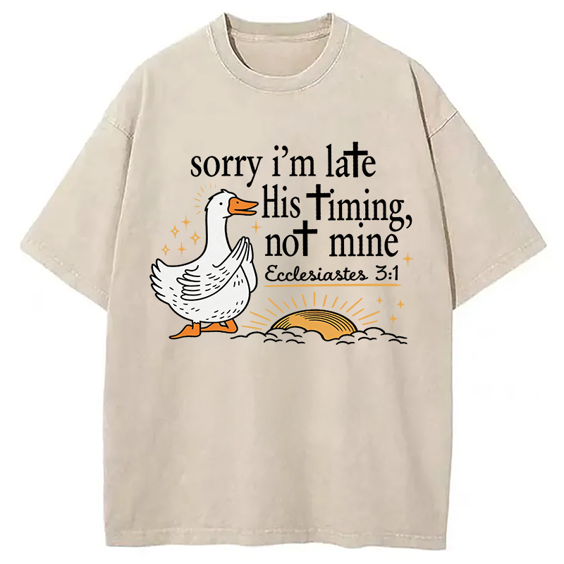 Tokyocanvas His Timing Not Mine Goose Washed T-Shirt