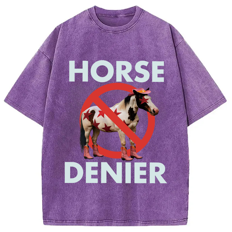 Tokyocanvas Funny Star-Spangled Cowboy Horse Denier Washed T-Shirt