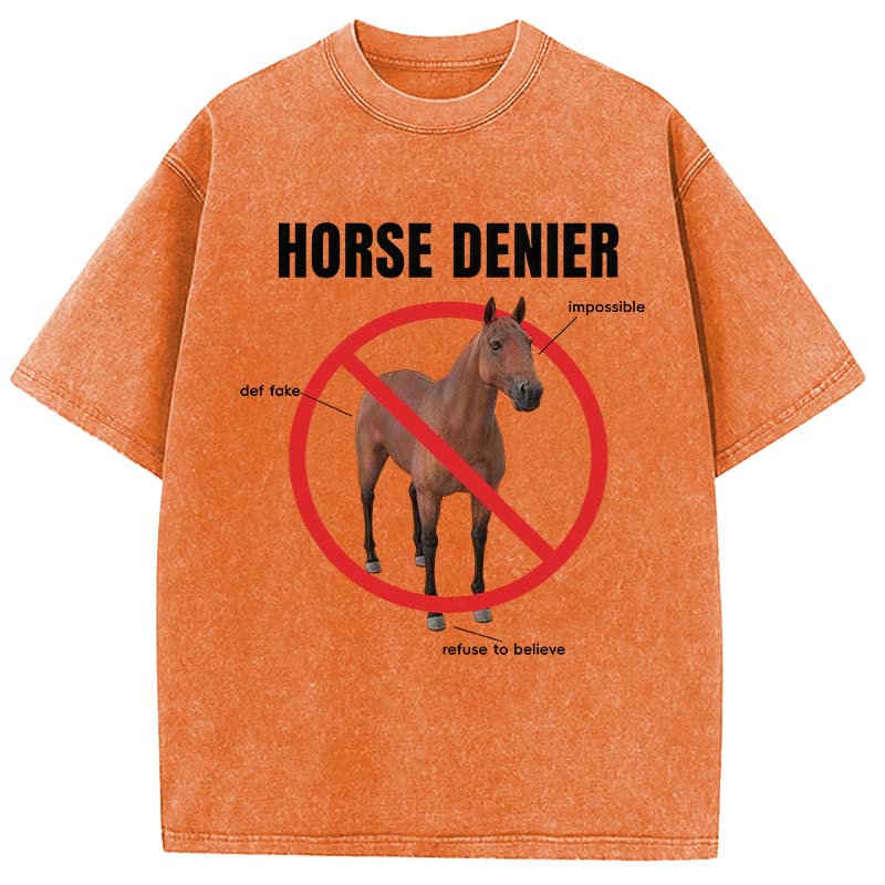 Tokyocanvas Horse Denier Analysis Washed T-Shirt
