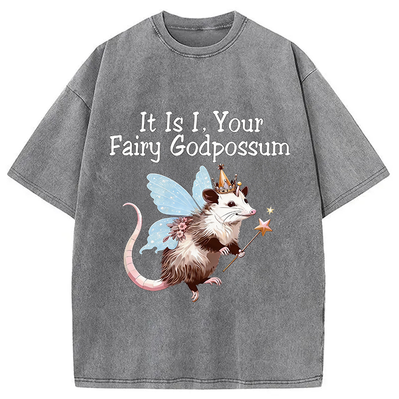 Tokyocanvas It Is I Your Fairy Godpossum Washed T-Shirt