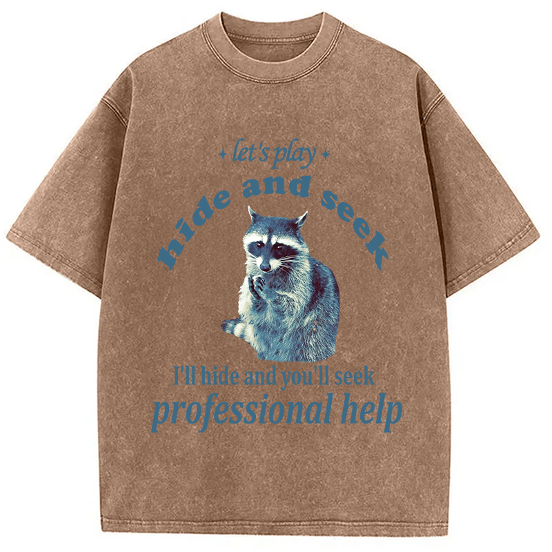 Tokyocanvas Let's Play Hide and Seek Raccoon Washed T-Shirt