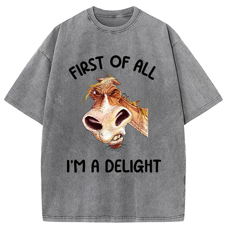 Tokyocanvas First of All I'm a Delight Horse Washed T-Shirt