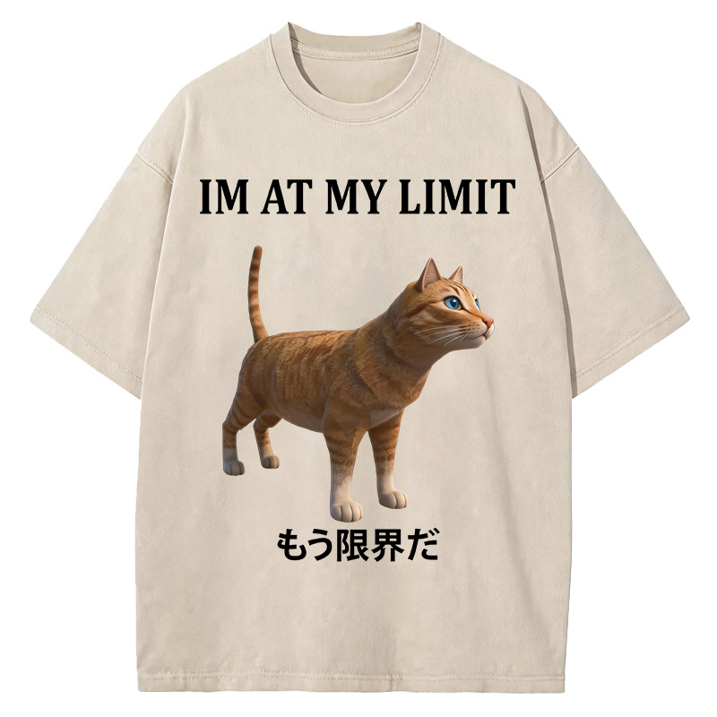 Tokyocanvas Poly Cat At My Limit Washed T-Shirt