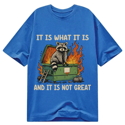 Tokyocanvas It Is What It Is Dumpster Fire Funny Raccoon Meme Classic T-Shirt