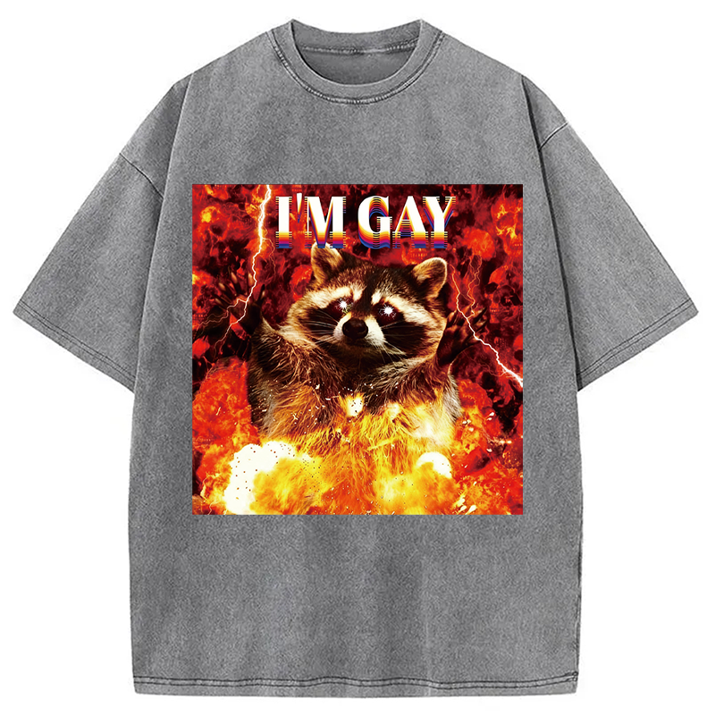 Tokyocanvas I'm Gay Washed T-Shirt