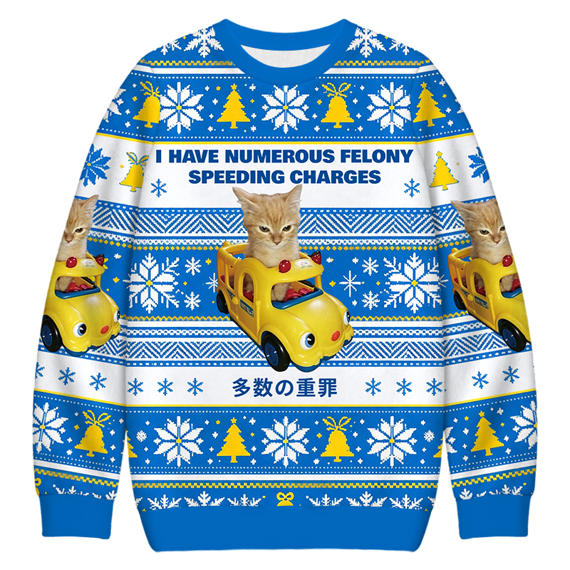 Tokyocanvas I Have Numerous Felonies For Speeding Christmas Ugly Sweatshirt