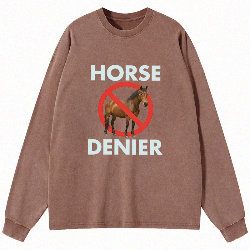 Tokyocanvas Funny Horse Denier Conspiracy Theory Long Sleeve Washed T-Shirt
