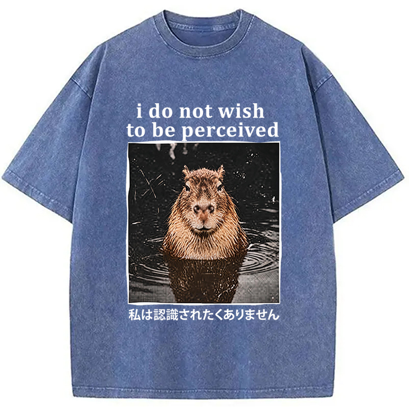 Tokyocanvas I Do Not Wish to Be Perceived Capybara Washed T-Shirt