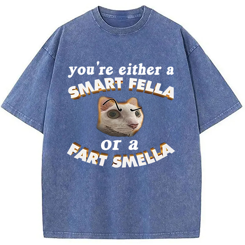 Tokyocanvas You're Either A Smart Fella Or A Fart Smella Funny Cat Washed T-Shirt