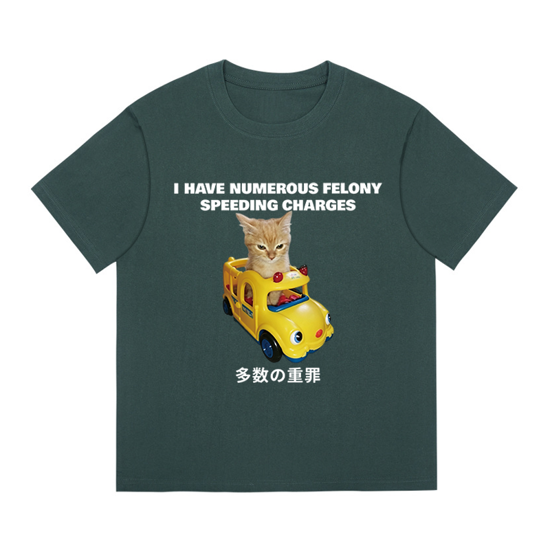 Tokyocanvas I Have Numerous Felonies For Speeding Boxy T-shirt