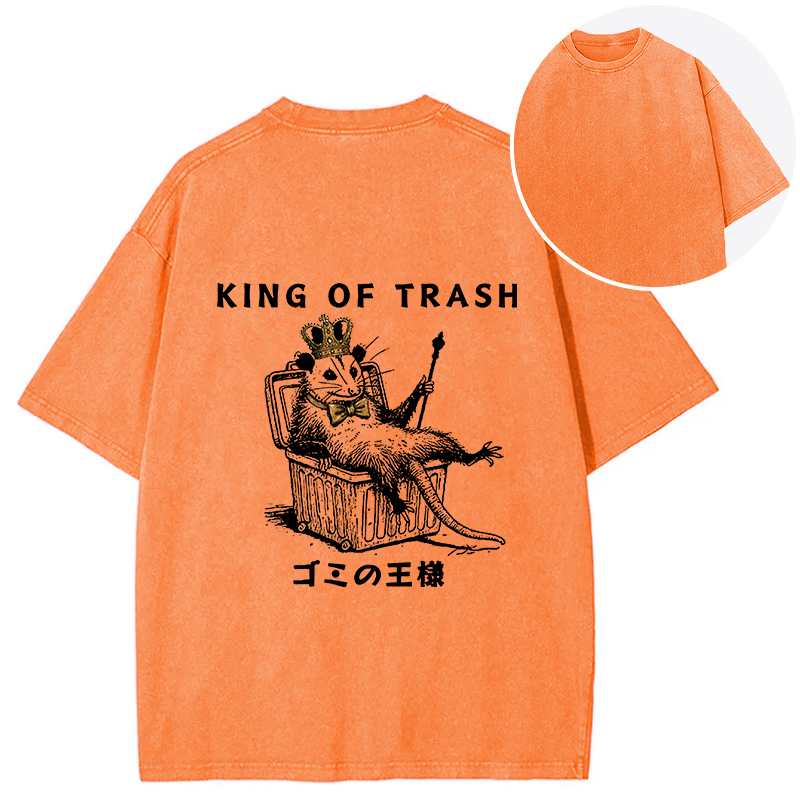 Tokyocanvas King Of Trash Back Washed T-Shirt