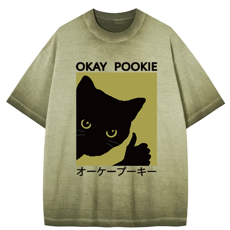 Tokyocanvas Okay Pookie Cat Gradient Washed T-Shirt