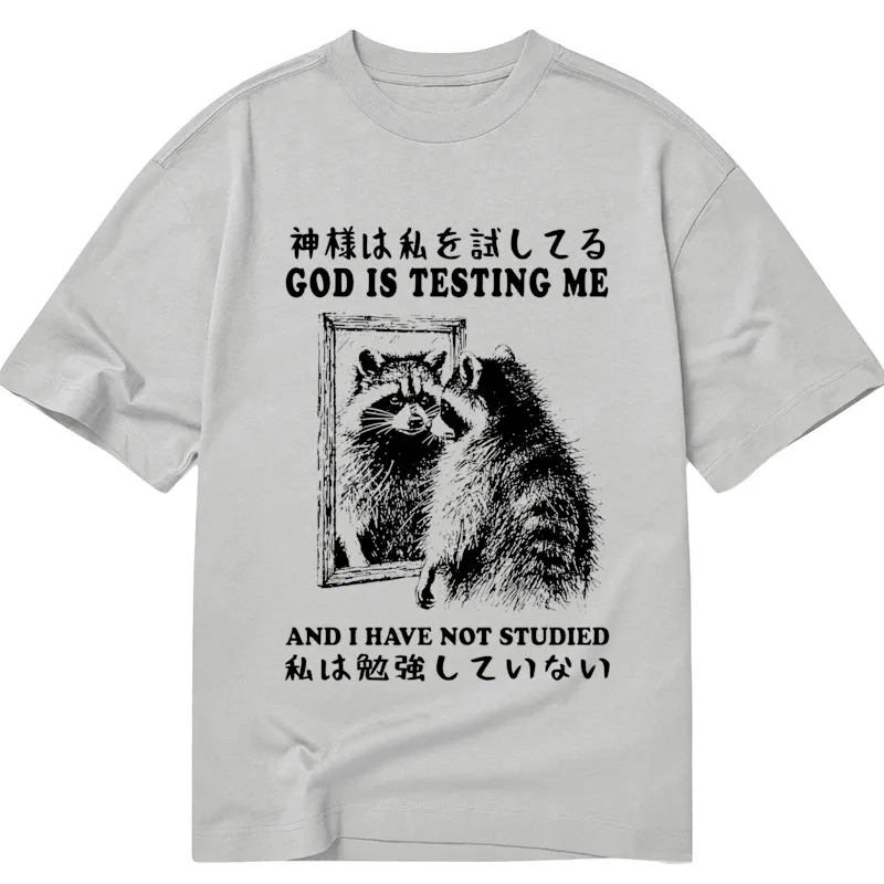 Tokyocanvas Raccoon Not Studied Classic T-Shirt