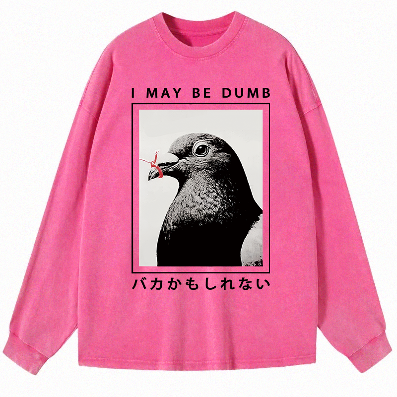 Tokyocanvas I May Be Dumb Funny Long Sleeve Washed T-Shirt