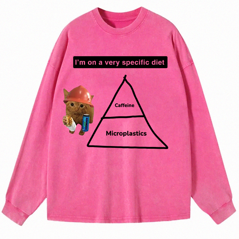Tokyocanvas I'm On A Very Specific Diet Long Sleeve Washed T-Shirt