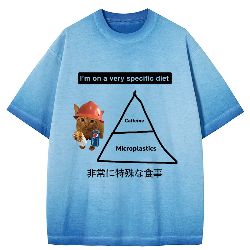Tokyocanvas A Very Specific Diet Cat Meme Gradient Washed T-Shirt