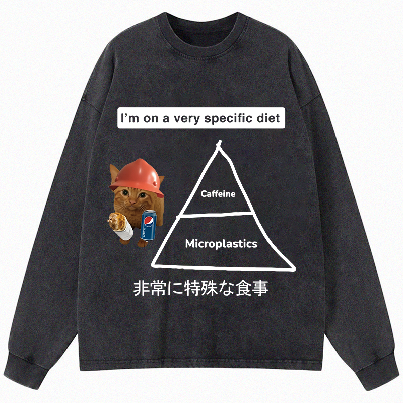 Tokyocanvas A Very Specific Diet Cat Meme Long Sleeve Washed T-Shirt