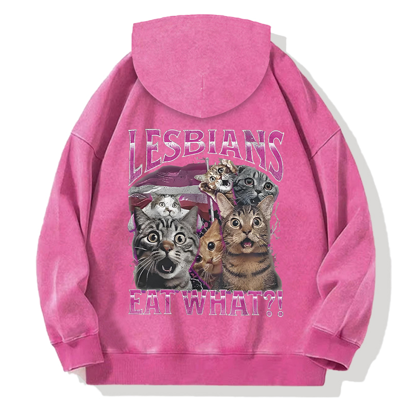 Tokyocanvas Lesbians Eat What?! Funny Back Washed Hoodie