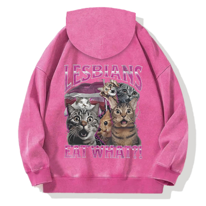 Tokyocanvas Lesbians Eat What?! Funny Back Washed Hoodie