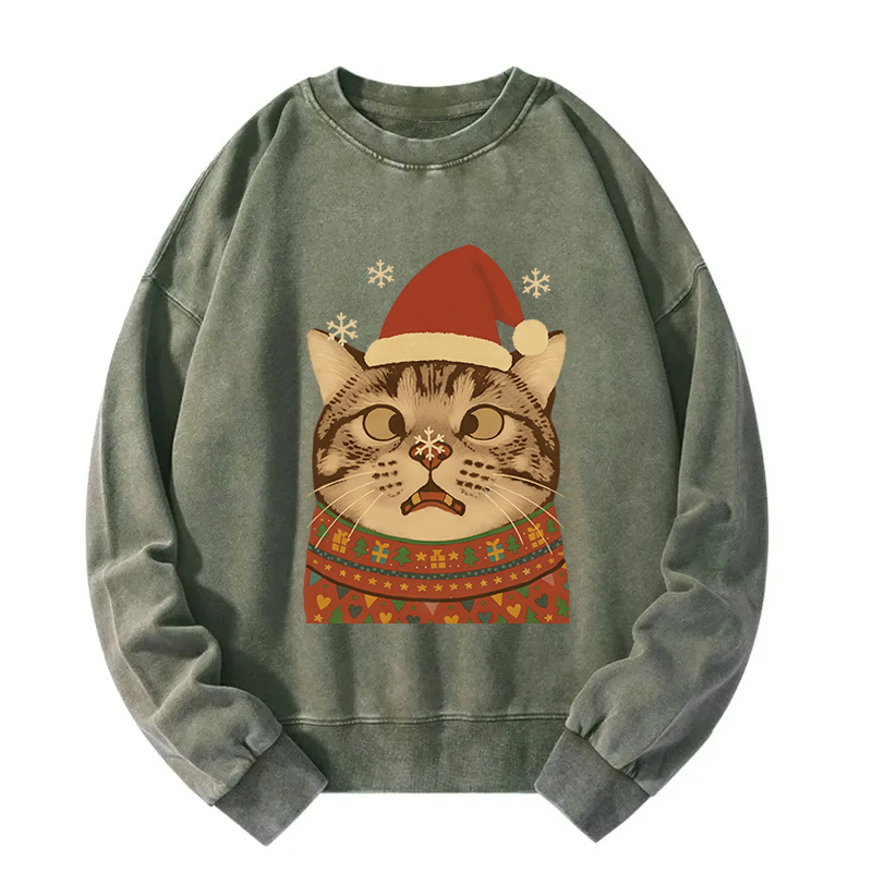 Tokyocanvas The Christmas Silly Cat Washed Sweatshirt