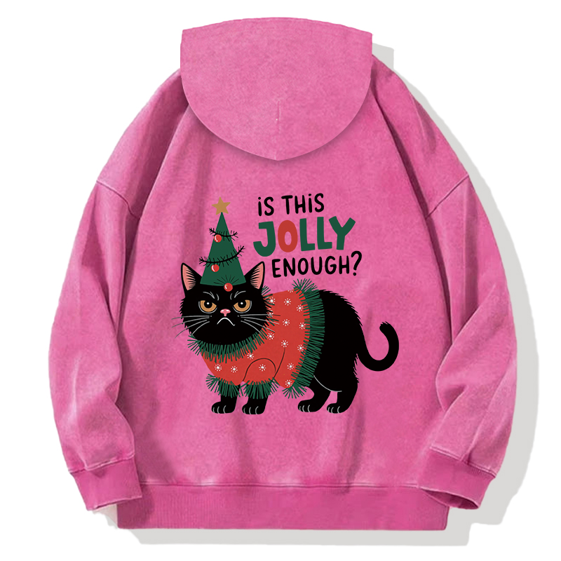 Tokyocanvas Christmas-humor Cat Back Washed Hoodie