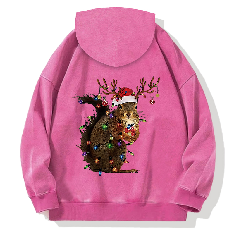 Tokyocanvas Christmas Squirrel Back Washed Hoodie