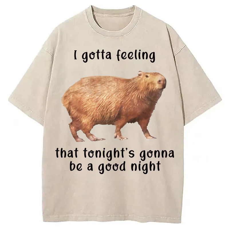 Tokyocanvas Capybara Gotta Feeling Washed T-Shirt