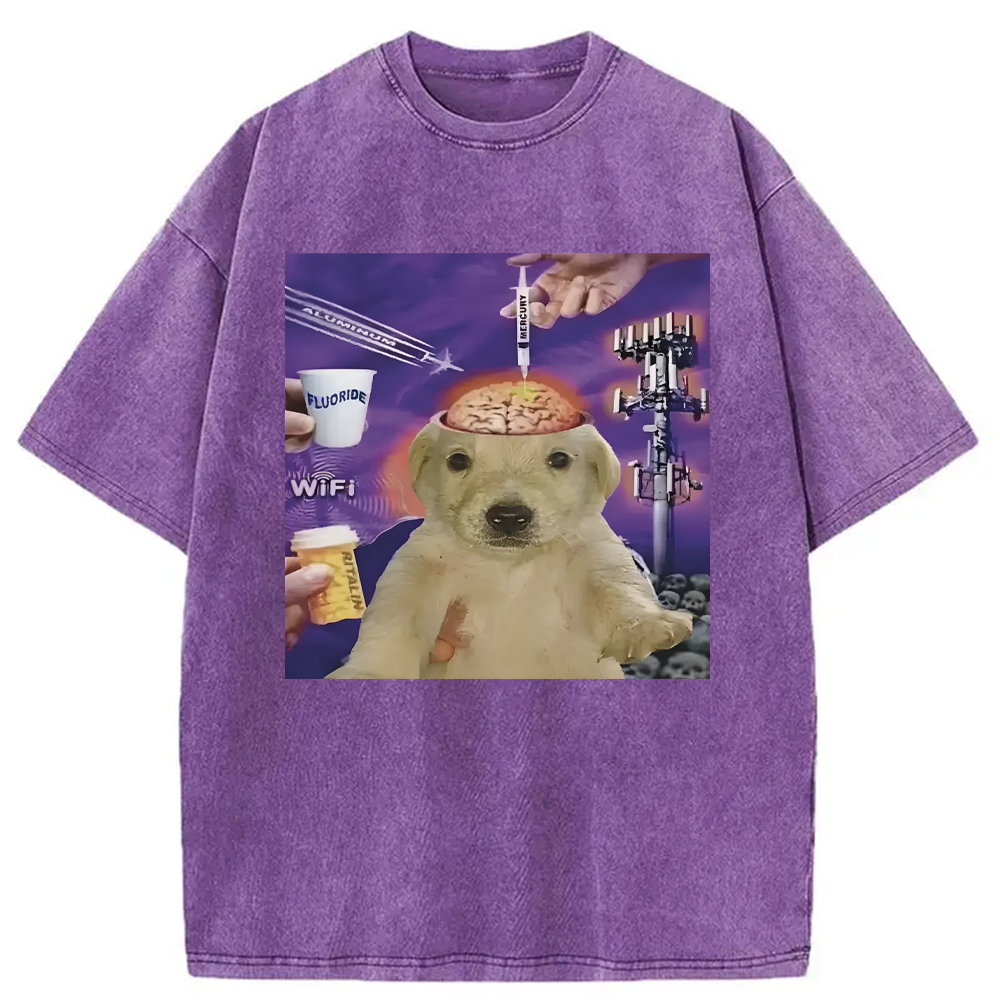 Tokyocanvas Brainwashed Jotchua Meme Washed T-Shirt