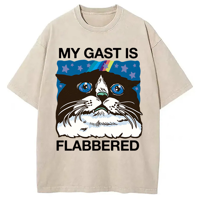 Tokyocanvas My Cat Is Washed T-Shirt