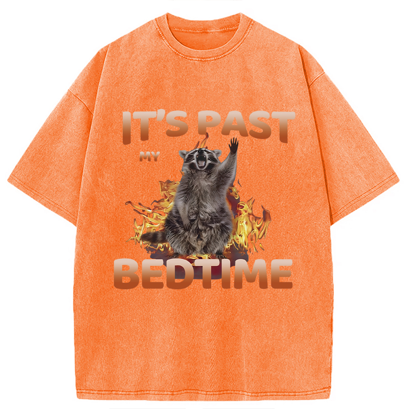Tokyocanvas It's Past My Bedtime Washed T-Shirt