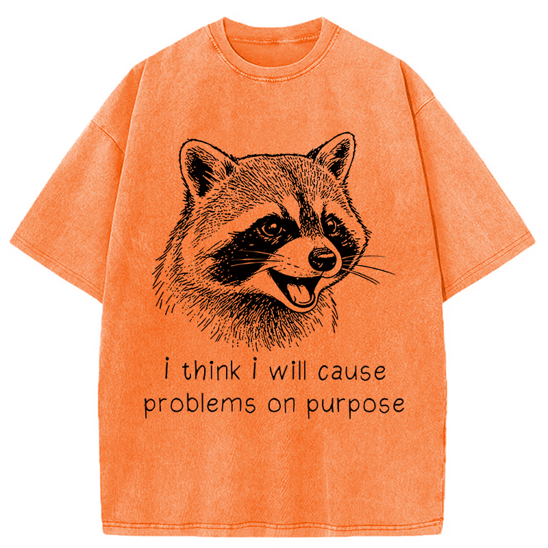 Tokyocanvas Stupid Raccoon Funny Washed T-Shirt