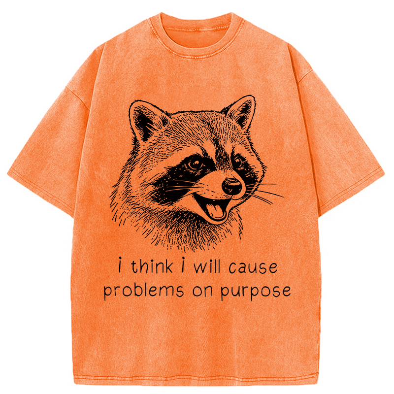 Tokyocanvas Stupid Raccoon Funny Washed T-Shirt