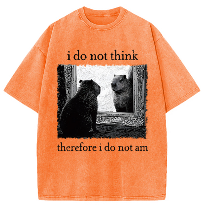 Tokyocanvas Capybara Paradox Washed T-Shirt