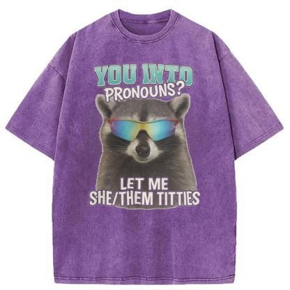 Tokyocanvas You Into Pronouns? Let Me She/Them Titt*es Raccoon Washed T-Shirt