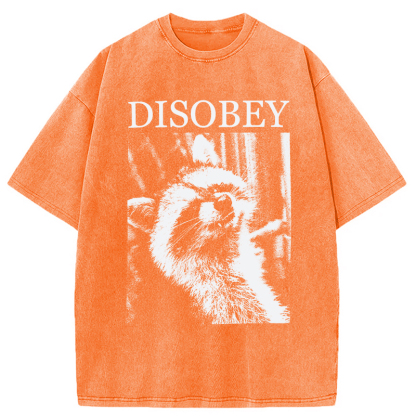 Tokyocanvas Disobey Raccoon Washed T-Shirt