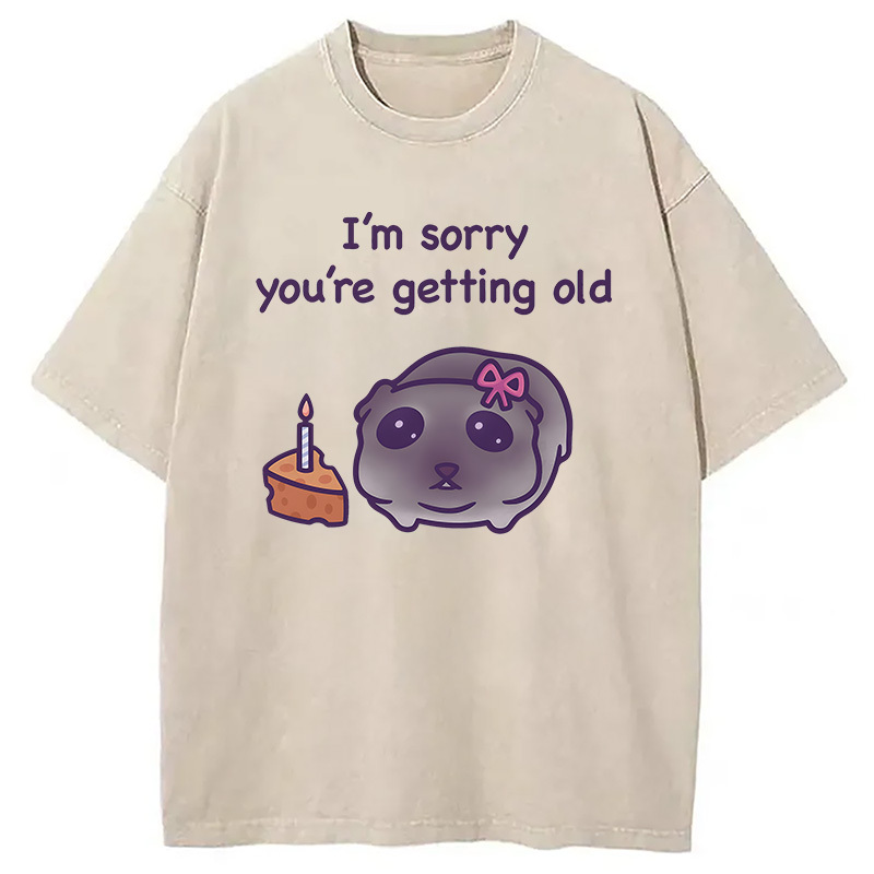 Tokyocanvas Sad Hamster Birthday Meme Washed T-Shirt