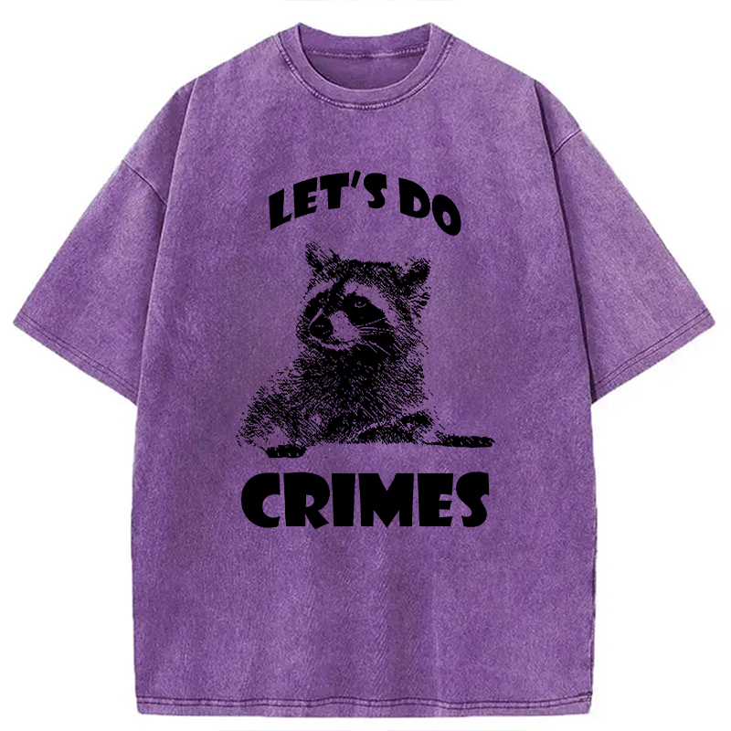 Tokyocanvas Raccoon Let's Do Crimes Washed T-Shirt