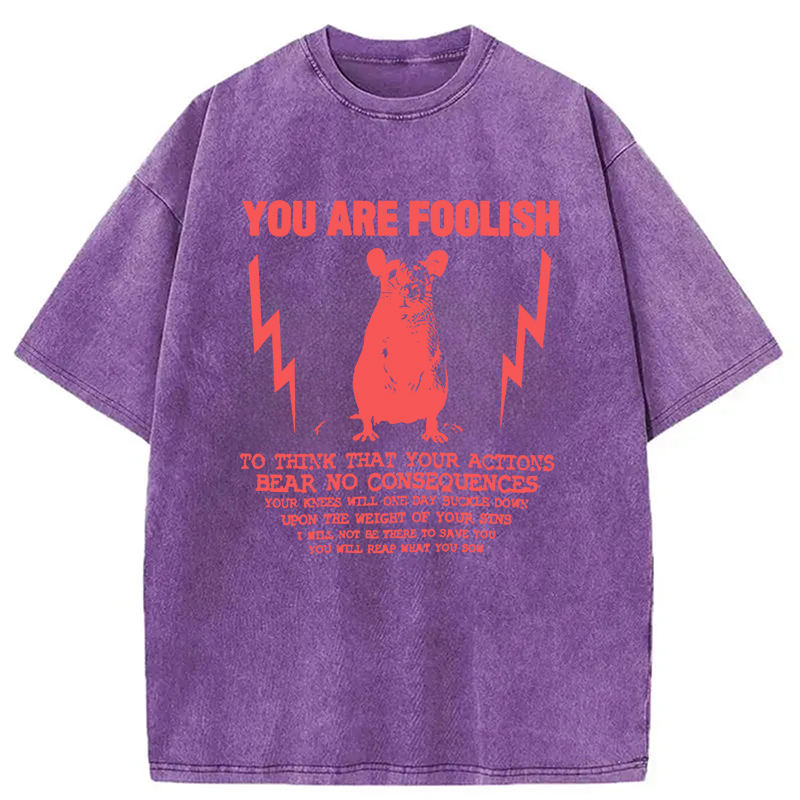Tokyocanvas You Are Foolish Rat Meme Washed T-Shirt