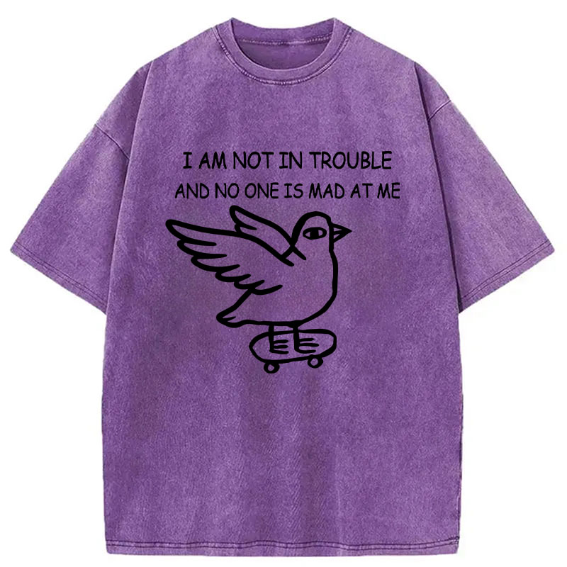 Tokyocanvas Bird Pretends It Did Nothing Wrong Washed T-Shirt