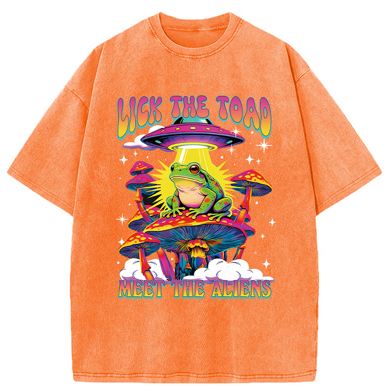 Tokyocanvas Lick The Toad Washed T-Shirt