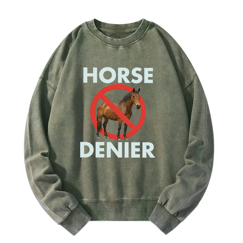 Tokyocanvas Funny Horse Denier Conspiracy Theory Washed Sweatshirt